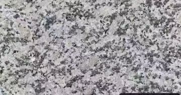 洛阳 芙蓉白（芝麻白大花）火烧面