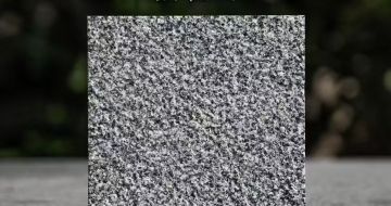 洛阳 芝麻黑荔枝面