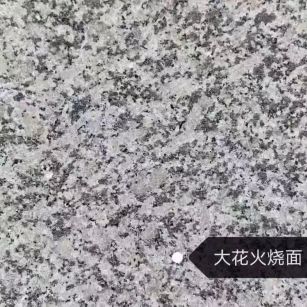 洛阳 芙蓉白（芝麻白大花）火烧面