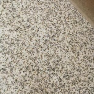 洛阳 黄金麻中黄光面