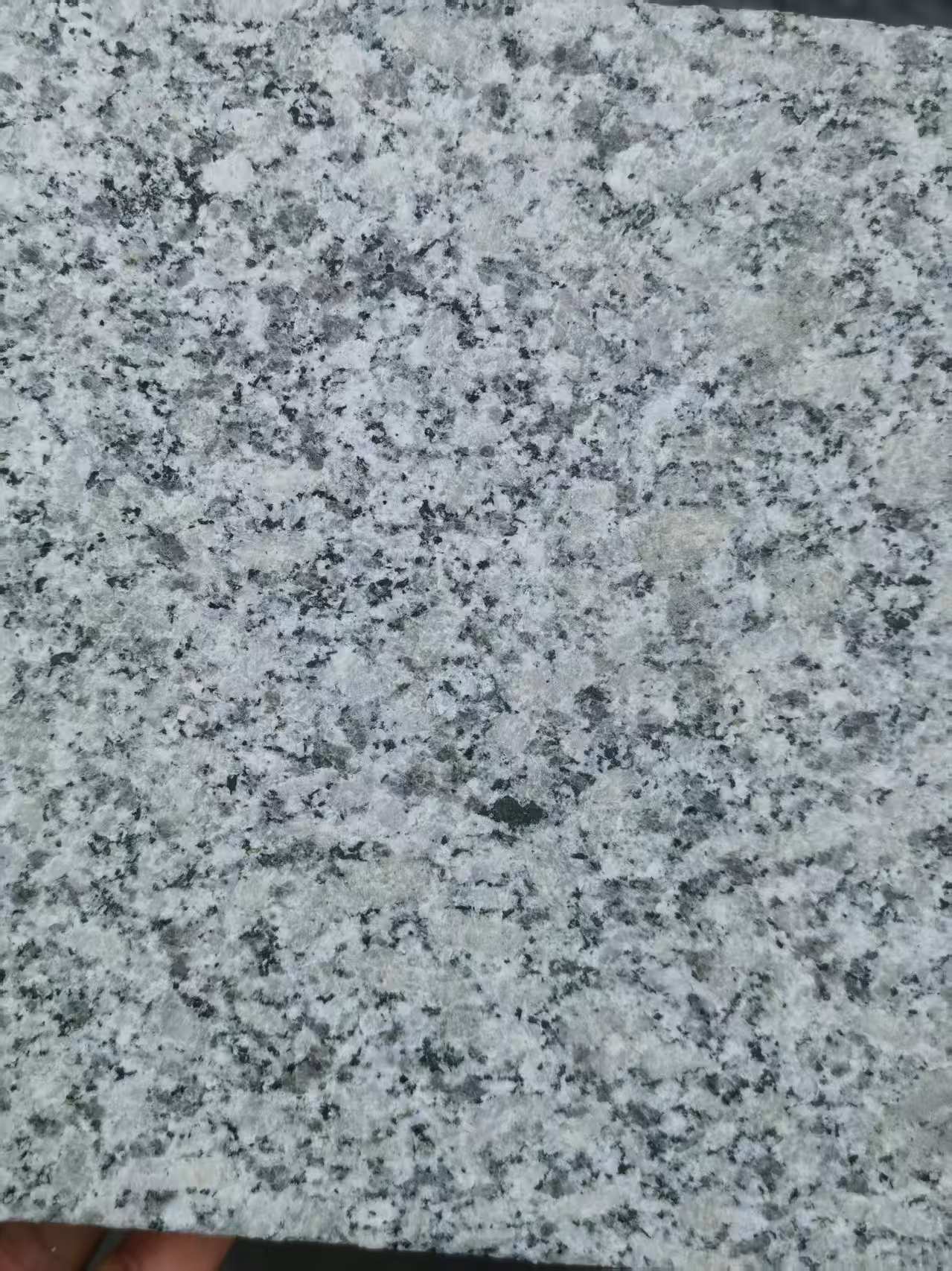 洛阳 芙蓉白火烧面