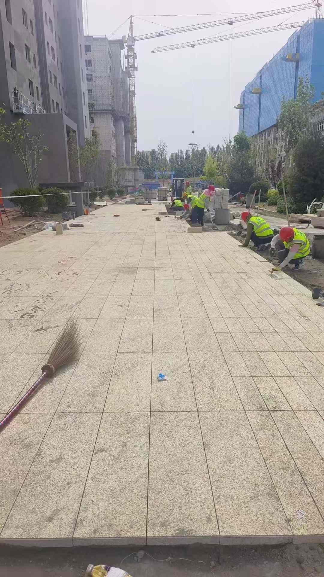 洛阳黄金麻荔枝面地铺案例